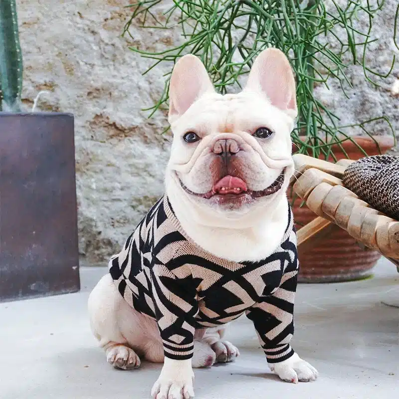 Fashion Striped Schnauzer Warm Sweater Chihuahua Costume Pug Apparel Dropshipping PC1366 1