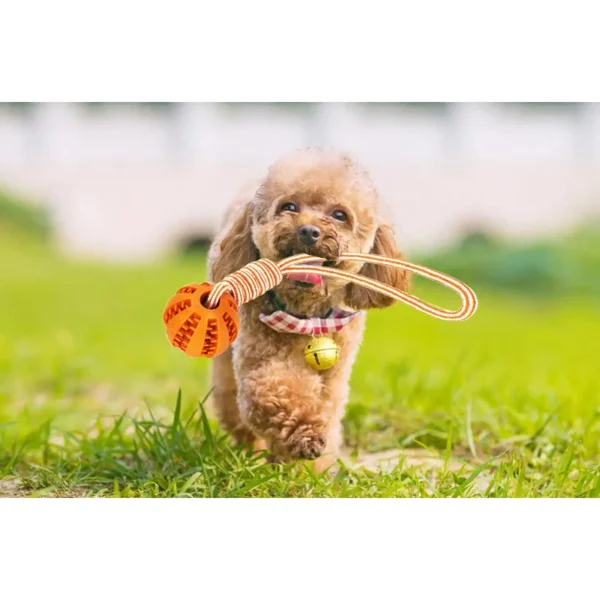 Dog Ball Toy with Rope Interactive Dog Rubber Leaking Balls Toy for Small Large Dogs Chewing Bite Resistant Toys Pet Tooth Clean 3