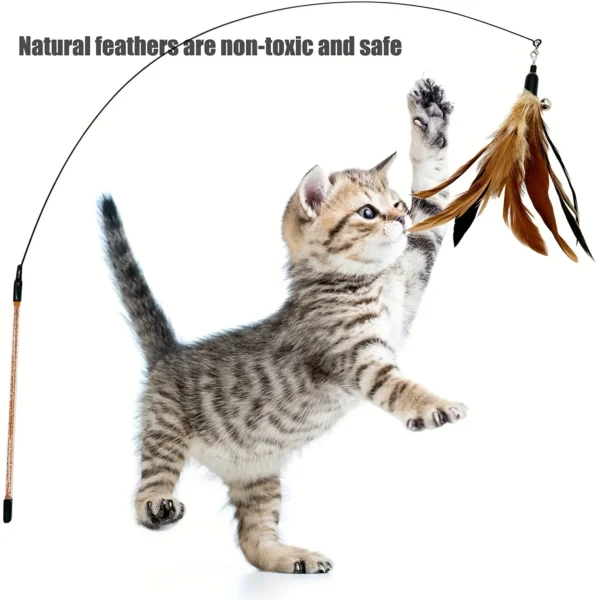 6 PCS Cat Toy Feather Replacement Cat Wand Refills Natural Bird Feathers Refill, Replacement Feathers Cat Toy for Indoor Cats 5