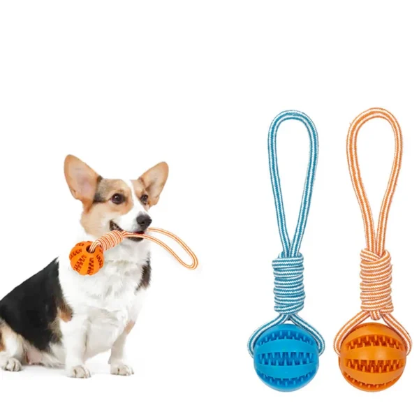 Dog Ball Toy with Rope Interactive Leaking Balls for Small Large Dogs Bite Resistant Chew Toys Puppy Training Pet Accessories 5