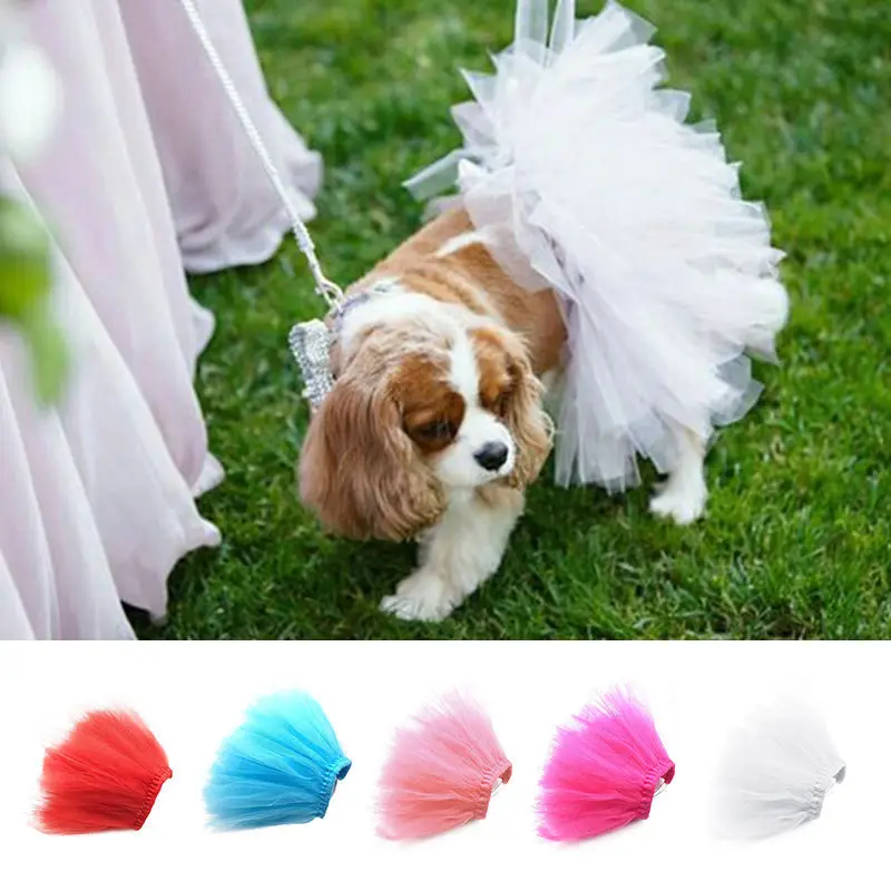 Pet Puppy Small Dog Lace Skirt Princess Tutu Dress Clothes Apparel Costume Cute Pet Shop Tudo Para Caes Puppy Clothes Dog Dress 1