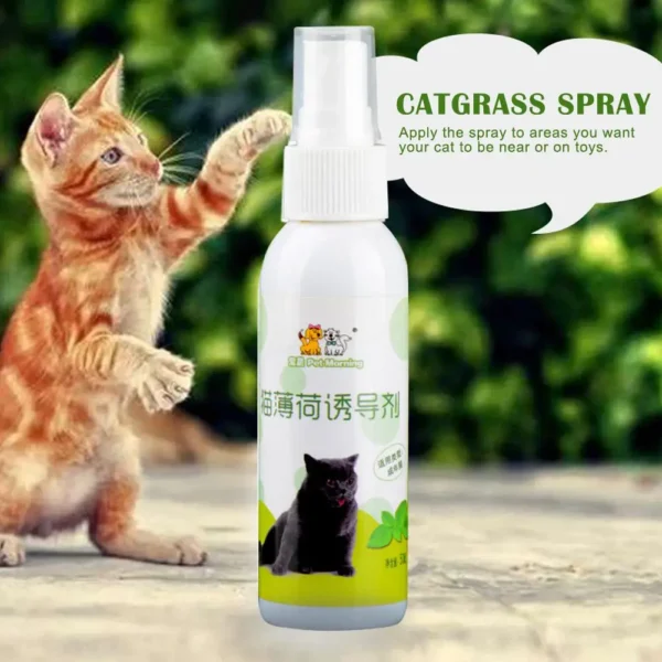 1pcs 50ml Cat Catnip Spray Natural Healthy Safe Long-term Toy Cat Pet Training Scratching CatMint Inducer Effect Pad W0Q4 2