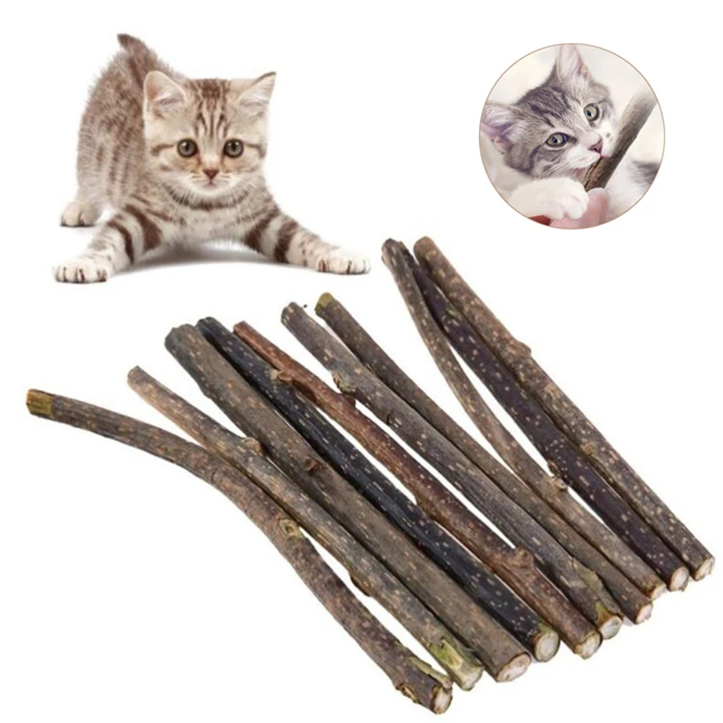 10pcs/lot Catnip Stick Pet Cat Molar Toys Natural Wood Polygonum Sticks Cleaning Teeth Relieve Boredom Snacks Chews Toys 1