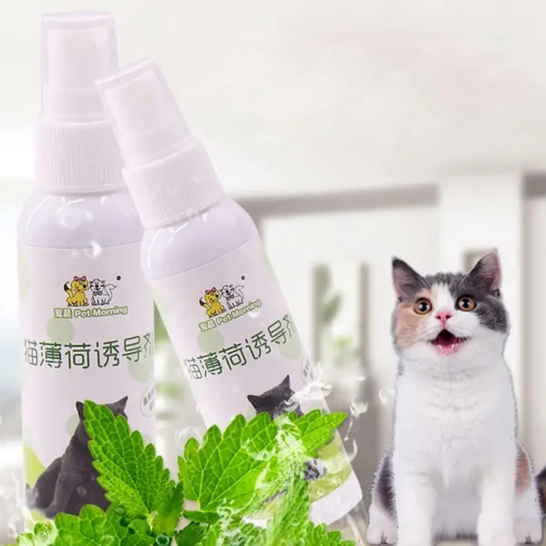 1pcs 50ml Cat Catnip Spray Natural Healthy Safe Long-term Toy Cat Pet Training Scratching CatMint Inducer Effect Pad W0Q4 6