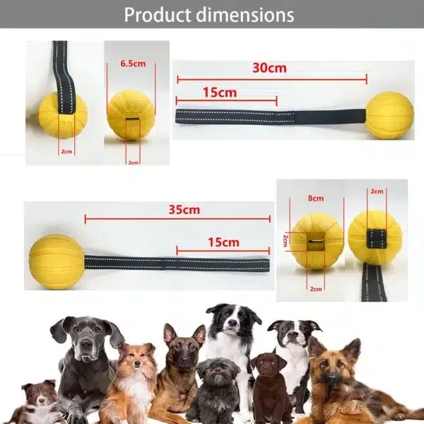 Dog Toy Balls On a Rope for Small Medium Large Dogs Chewers, Durable Interactive Ball for Training Dogs, EVA Foam Ball Floats 4