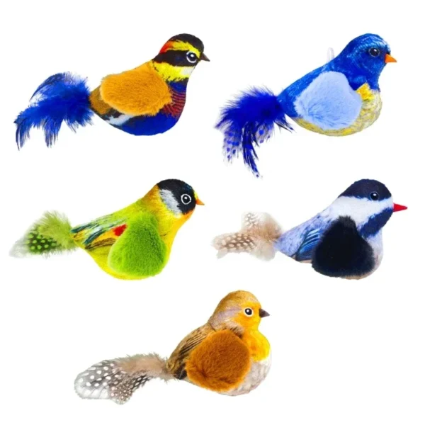 Toy Indoor Interactive Birds Toy for Cat Chasing Teasing Toy 1