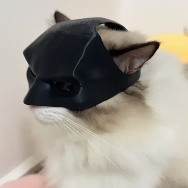 Bat Cat Avenger Mask Black Matte Bat Mask Superhero Pet Toys Cat Bat Pet Man Mask for Cat and Dogs Spooky Make-up Party Toy 4