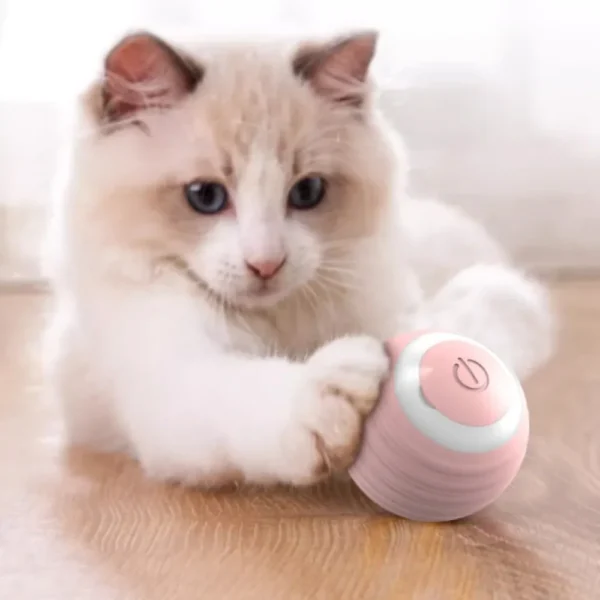 Smart Cat Rolling Ball Toys Rechargeable Cat Toys Ball Motion Ball Self-moving Kitten Toys for Indoor Interactive Playing 고양이 2