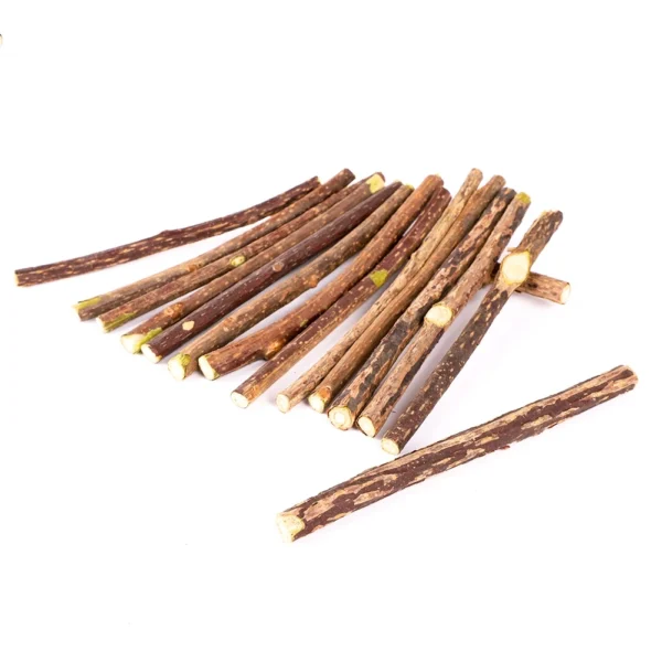 Silvervine Sticks for Cats Natural Catnip Chew Sticks Teeth Molar Chewing Toys for Cat Kitten Kitty Gifts 2