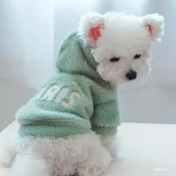 1PC Pet Apparel Cat Dog Autumn and Winter Thickened Warm Green Paris Letter Hat Coat Suitable for Small and Medium sized Dogs 5