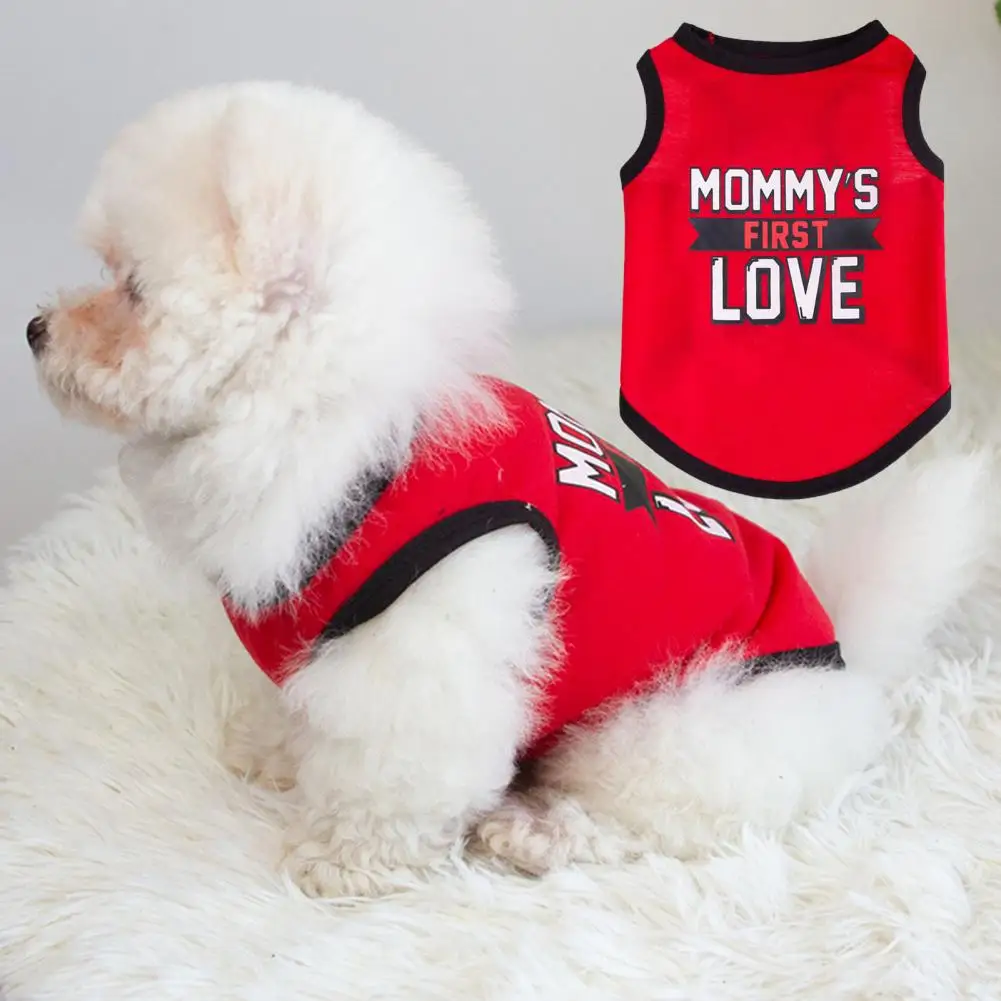 Pet Vest Two-Legged Apparel Letter Print Washable Stylish Cute Design Pet Vest Dog Clothes Autumn Winter Coat Pet Accessories 1