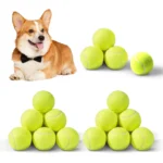 6 PCS Tennis Launcher Special 5cm Ball DogElastic Professional Tennis Throw MachinePortable Toy Only The Ball No Machine 1