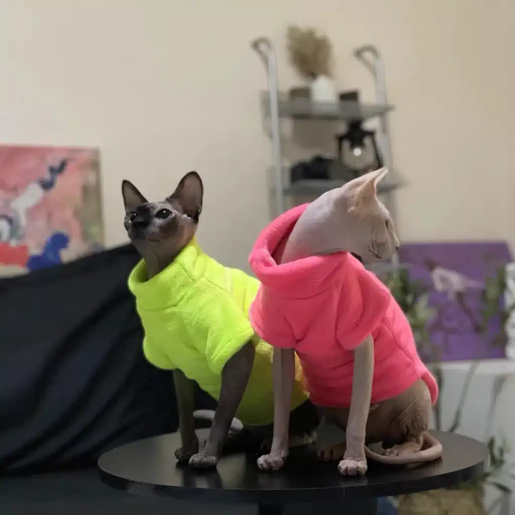 Winter Comfortable Sphynx Cat Clothes Cat Hoodie Coat for Pet Clothing Cute Apparel Hairless Cat Shirt Pet Supplier 1