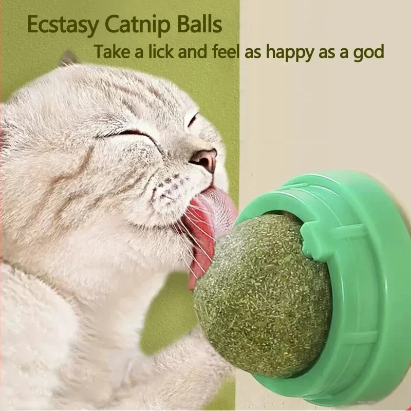 Natural Catnip Scratching Post for Cat Scrapers Cat Wall Sticker Ball Toy Scraper Cats Pet Products Therapeutic Healthy Toys Hom 1