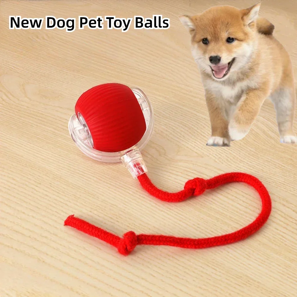 Interactive Dog Toys Rechargeable Pet Interactive Toys Electric Cats Ball  Automatic Rolling Fake Tail Ball Dog  Cats Toy 1