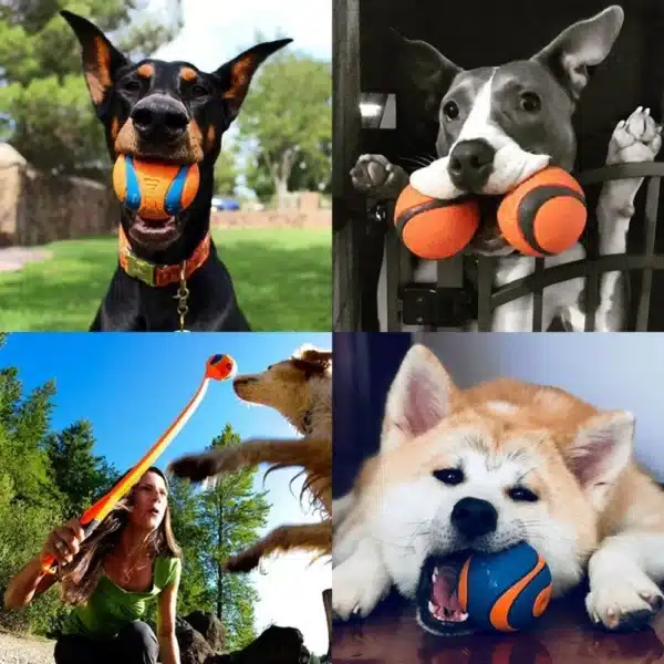 Dog Toy Ball Dog Fetch Ball Toy Tough Pet Ball Puppy Chew Toy Solid Elastic Jumping Ball Pet Accessories For Large Medium Small 6