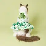 Cutest Clover in The Dog Dress, St Patricks Day Dog Clothes for Small Dogs Girl, Funny Pet Apparel Cat Holiday Outfit 1