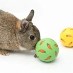 1pcs Rabbit Treat Ball Pet Slow Feeder Interactive Bunny Toy Snack Toy Ball Bite Resistant Feeding Toys Ferret Kitty Hamster Toy 1