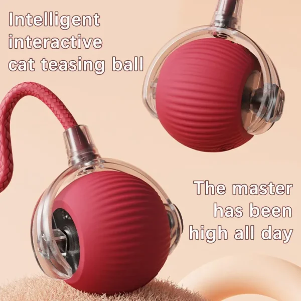 Cat Interactive Ball Toy , Automatic Rolling Cat Ball Rechargeable, Intelligent Cat Toys, Motion Activated Teasing Ball for Cat 2