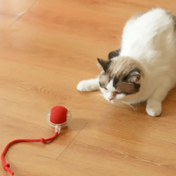 Smart Cat Rolling Ball Toys Rechargeable Cat Toys Ball Motion Ball Self-moving Kitten Toys for Indoor Interactive Playing 고양이 6