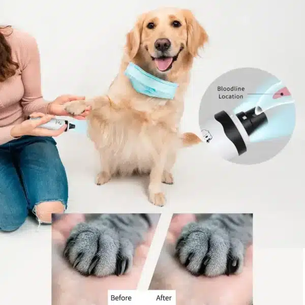 Rechargeable USB Charging Pet Dog Nail Grinders,Electric Clippers, Cat Paws, Nail Grooming Trimmer Tools Apparel Dog clipper Dog 5