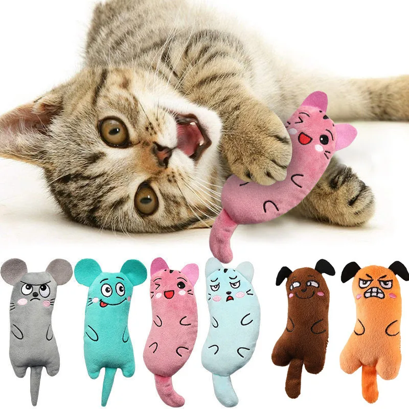 Cute Cat Toys Funny Interactive Plush Cat Toy Mini Teeth Grinding Catnip Toys Kitten Chewing Squeaky Toy Pets Accessories 1