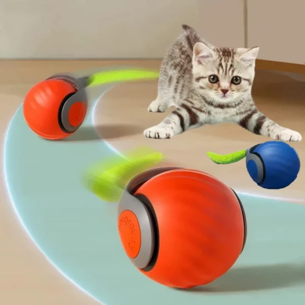 2024 New Interactive Cat Toy Ball Small Tail Rolling Ball Suitable for Indoor and Outdoor Cat and Dog Play Toys for Cats Things 2