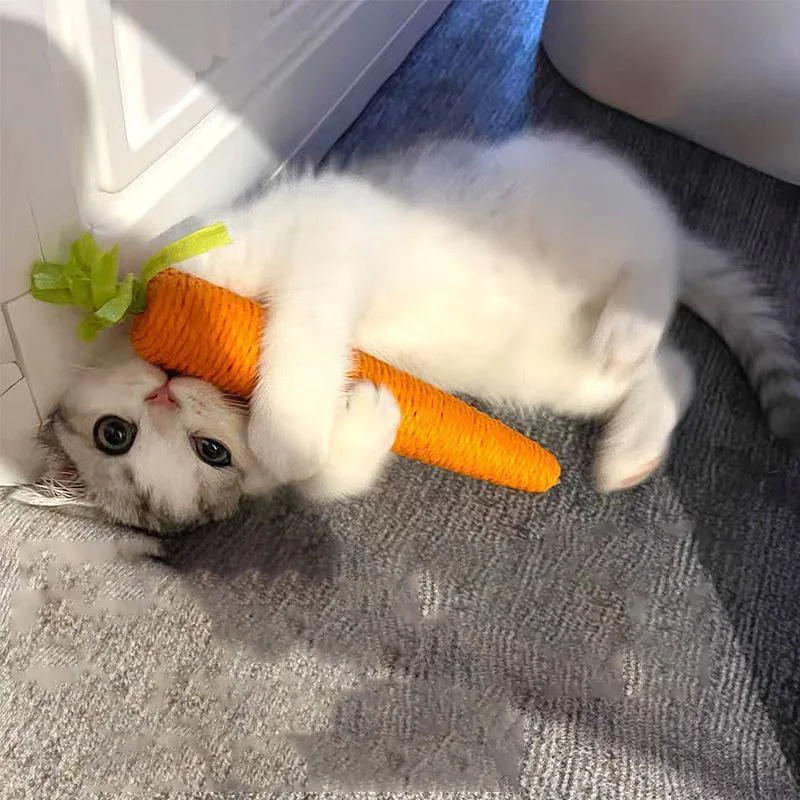 Cat Toys Sound Carrot Cuddle cat stick since fun fun cat teething stick anti-bite cat scratch board pet supplies 1