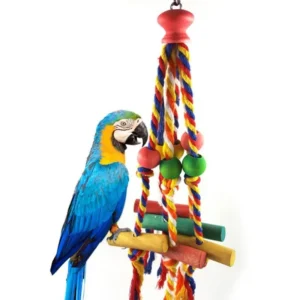 Random Colors Bird Accessories Wood Chewing Toy Birds  Rope Parrot Toys Cage Resistant Small Large Bird Toy Parrots Training 1