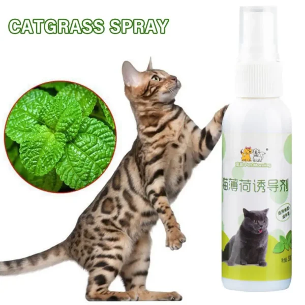 1pcs 50ml Cat Catnip Spray Natural Healthy Safe Long-term Toy Cat Pet Training Scratching CatMint Inducer Effect Pad W0Q4 3
