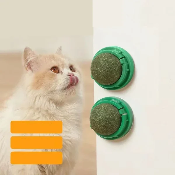 The Catnip Cat Wall Stick-on Ball Toy Scratchers Treats Healthy Natural Removes Balls to Promote Digestion Cat Grass Snack 2