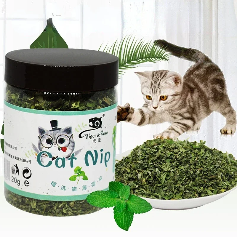 Organic 100% Natural High Quality Catnip Cattle Grass  Mint Taste Funny Cat Toy New Cat Toy Interactive Cat Toys Pet Supplies 1