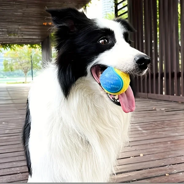 1pc Dog Toy Durable Crew Ball Pet Grinding Teeth Toy For Dog Interactive Supplies Chew Pet Supplies 3