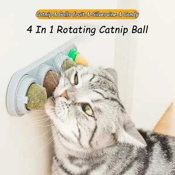 Natural Catnip Cat Wall Stick-on Ball Toy Scratchers Treats Healthy Natural Removes Balls to Promote Digestion Cat Grass Snack 2