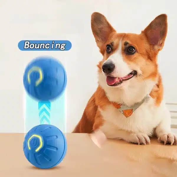 Cat Interactive Bouncing Ball Smart Cat Toys USB Automatic Rolling Magic Ball Electronic Cat Dog Toy Cat Game Accessories 4