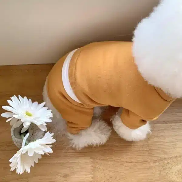 Pet Dog Jumpsuits Warm Soft Dog Clothes Fashion Solid Puppy Pajamas Spring Cat Jumpsuits Pet Overalls French Bulldog Dog Apparel 2