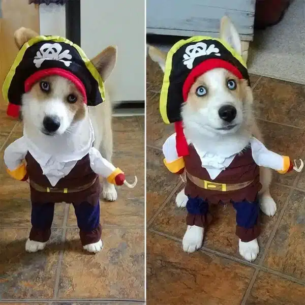 Halloween Pet Dog Clothes Cat Costume Funny Pirate Suit For Small Dogs Transformation Cosplay Apparel Puppy Standing Dress Up 5