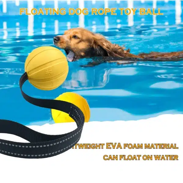 Dog Toy Balls On a Rope for Small Medium Large Dogs Chewers, Durable Interactive Ball for Training Dogs, EVA Foam Ball Floats 3