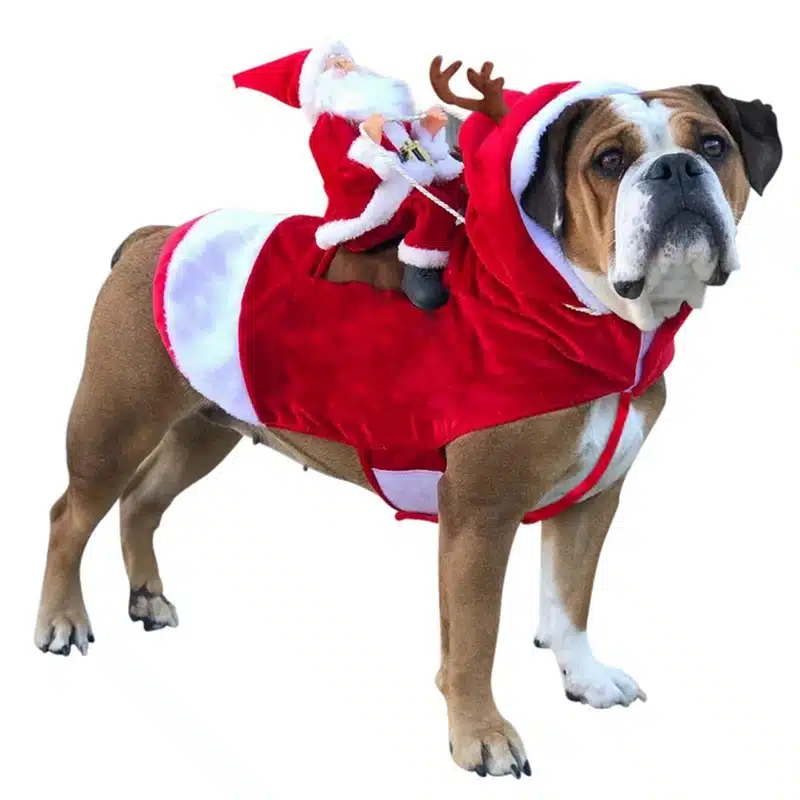 Small Large Dogs Santa Outfit For Christmas Carnival Pet Costumes  Apparel Party Dressing Up Clothing 1