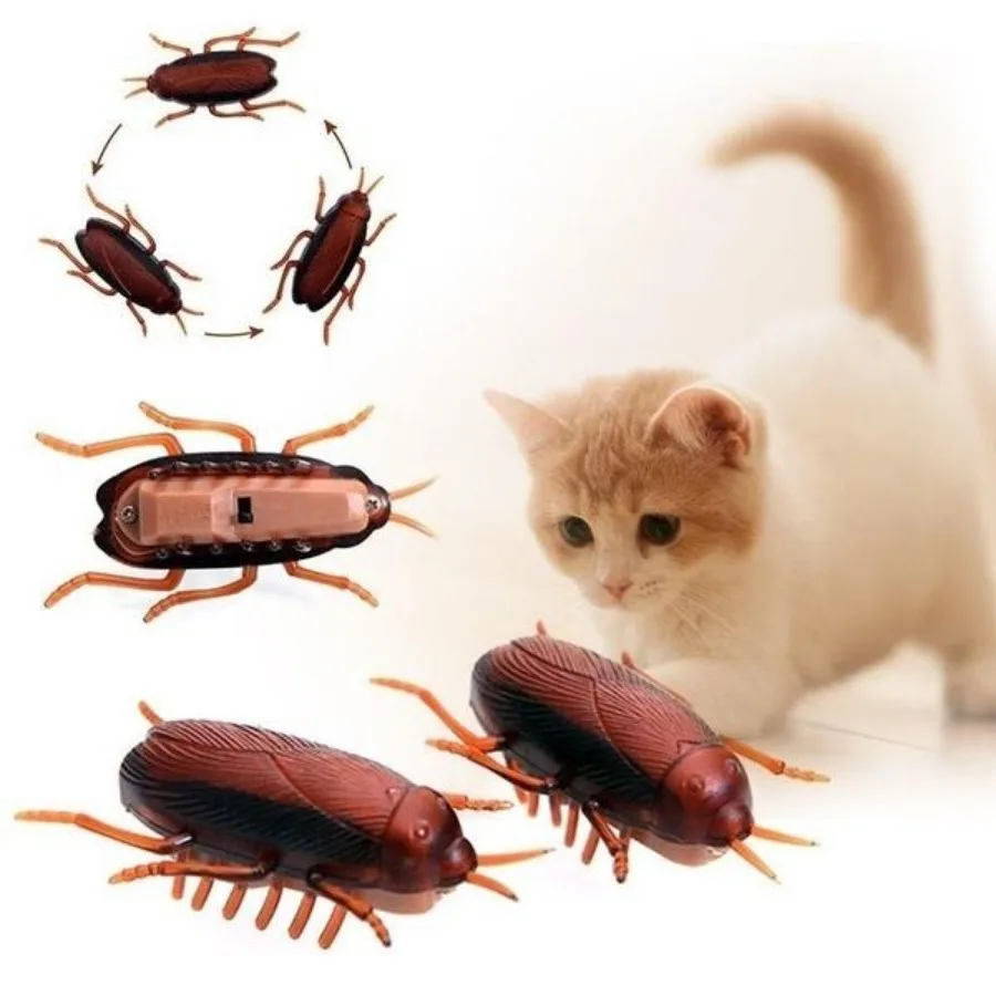 Funny Simulation of Cockroaches Pet Cat Dog Kitten Interactive Training Play Toy 1