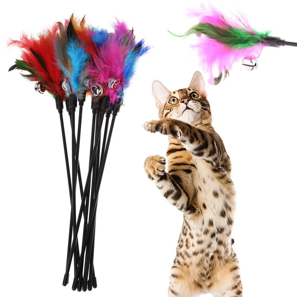 5pcs Funny Kitten Cat Teaser Interactive Toy Rod with and Feather Toys For Pet Cats Stick Wire Chaser Wand Toy Random Color 1