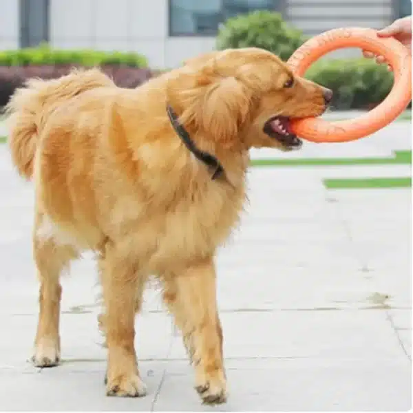 BOOTEELY 1pc Orange Dog Toys Pet Flying Disk Training Ring Puller EVA Interactive Training Ring Puller Resistant for Dogs 4