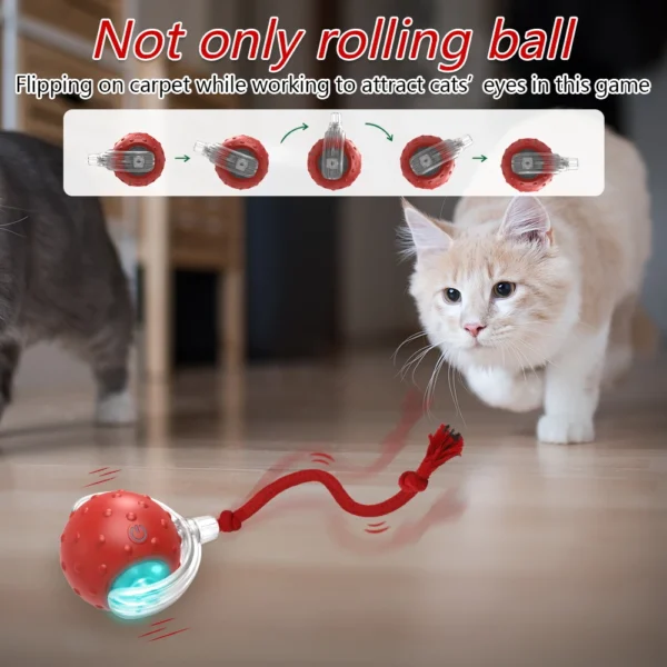 Interactive Cat Toy Ball with Bird Chirping Super Drive Cat Rolling Balls Motion Activated Sensor Pet Kittens Teaser Game Toys 5