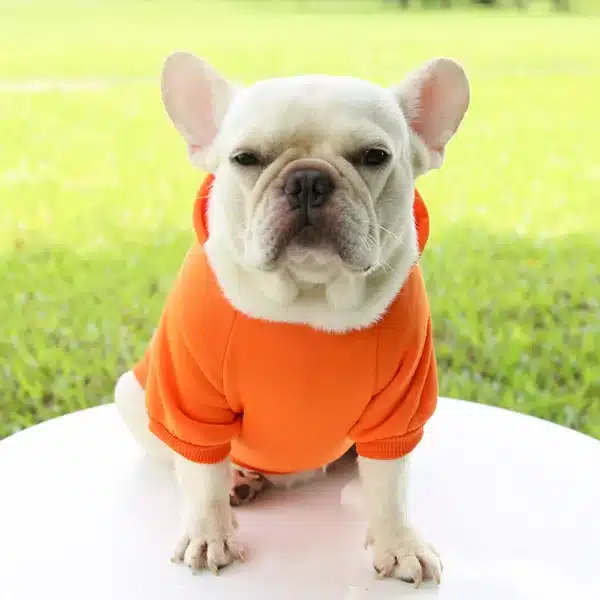 Puppy Apparel Outfit Pet Costume Solid Color Two-legged Warm Clothes Cat Dog Pullover Clothes Hoodies With Pockets DIY Soft 3