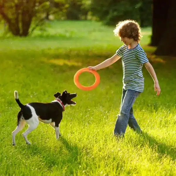 Dog Toys for Big Dogs EVA Interactive Training Ring Puller Resistant for Dogs Pet Flying Discs Bite Ring Toy for Small Dog 4