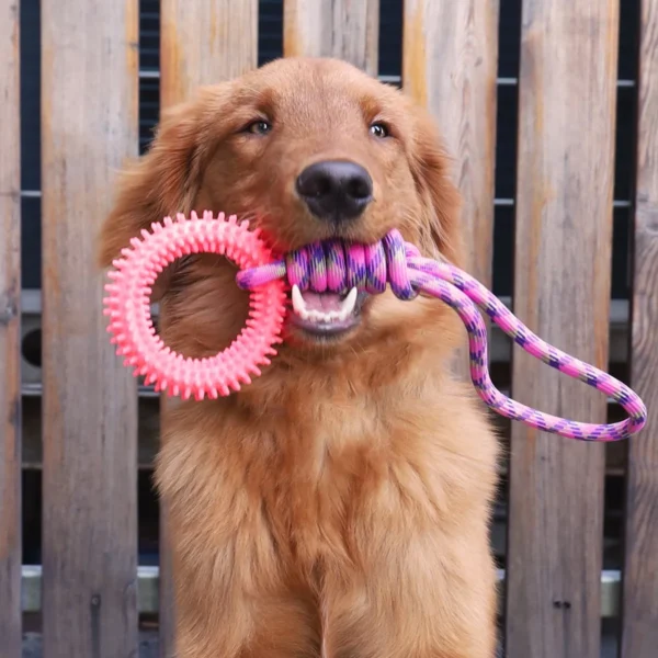 Supet Interactive Training Pet Toy Ring Spiked Ring Dog Teeth Cleaning Pet Supplies 3