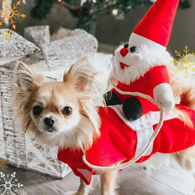 Novelty Funny Pet Christmas Riding Dress Warm Clothes Apparel Party Dressing up Cosplay Clothing for Small Large Dog Outfits 1