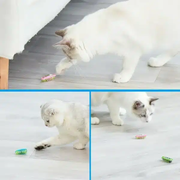 Funny Electric Bugs Catnip Toy Automatic Tunnel Mini Robot Bug Vibration Insect Toys For Cats Battery Operated Cockroach Ladybug 6