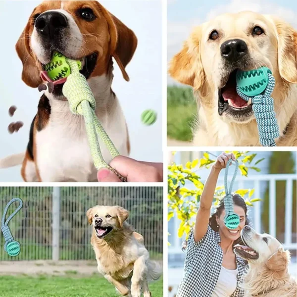 Dog Ball Toy with Rope Interactive Leaking Balls for Small Large Dogs Bite Resistant Chew Toys Puppy Training Pet Accessories 4