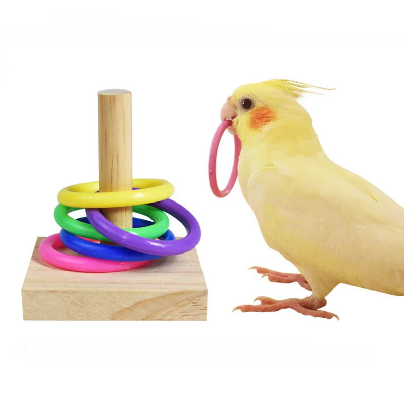 Bird Training Toys Set Wooden Block Puzzle Toys For Parrots Colorful Plastic Rings Intelligence Training Chew Toy Bird Supplies 1